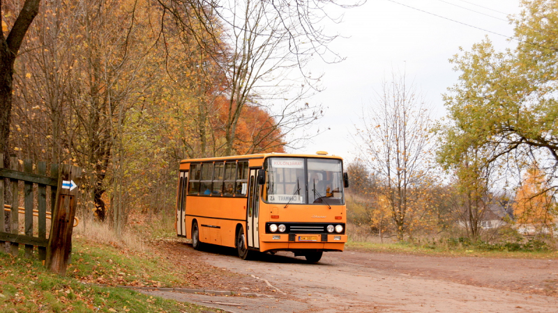 Na zdjęciu pomarańczowy autobus