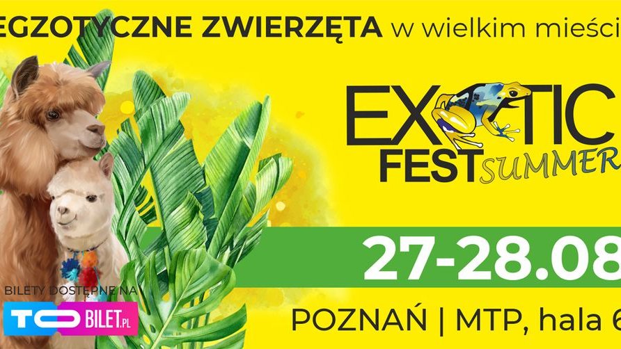 Na żółtym plakacie są lamy oraz napisy: "Exotic Fest Summer"