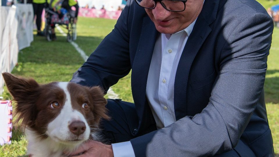 Galeria zdjęć przedstawia pierwszy dzień dogfrisbee World Finals USDDN Polska 2022.