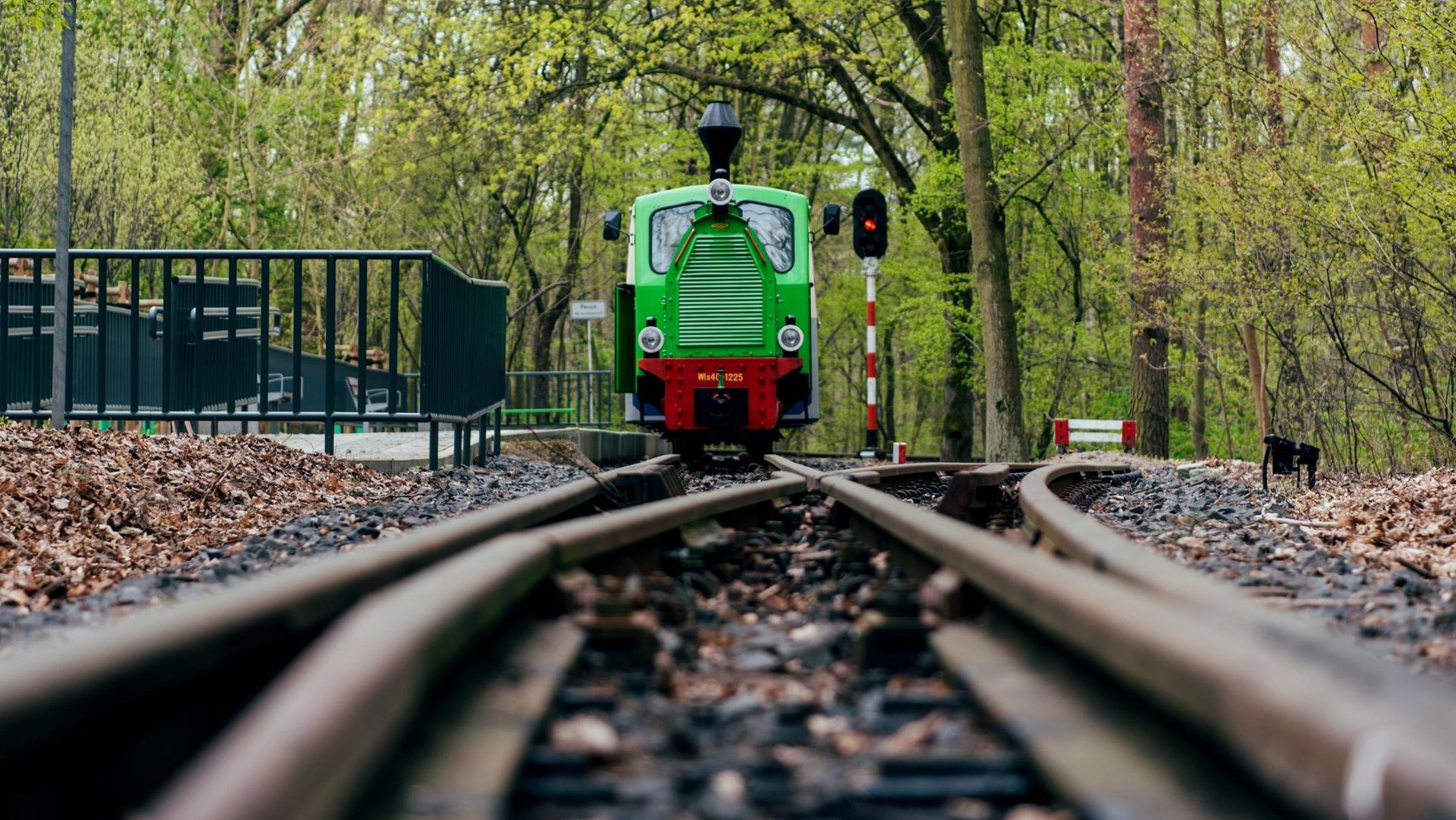 Galeria zdjęć przedstawia Kolejkę Parkową Maltanka.