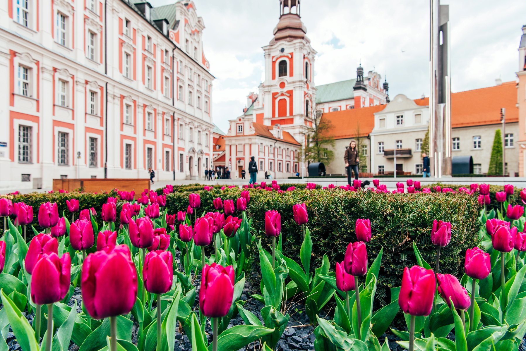 Na zdjęciu plac Kolegiacki, na pierwszym planie kwiaty, w tle budynek urzędu - grafika artykułu