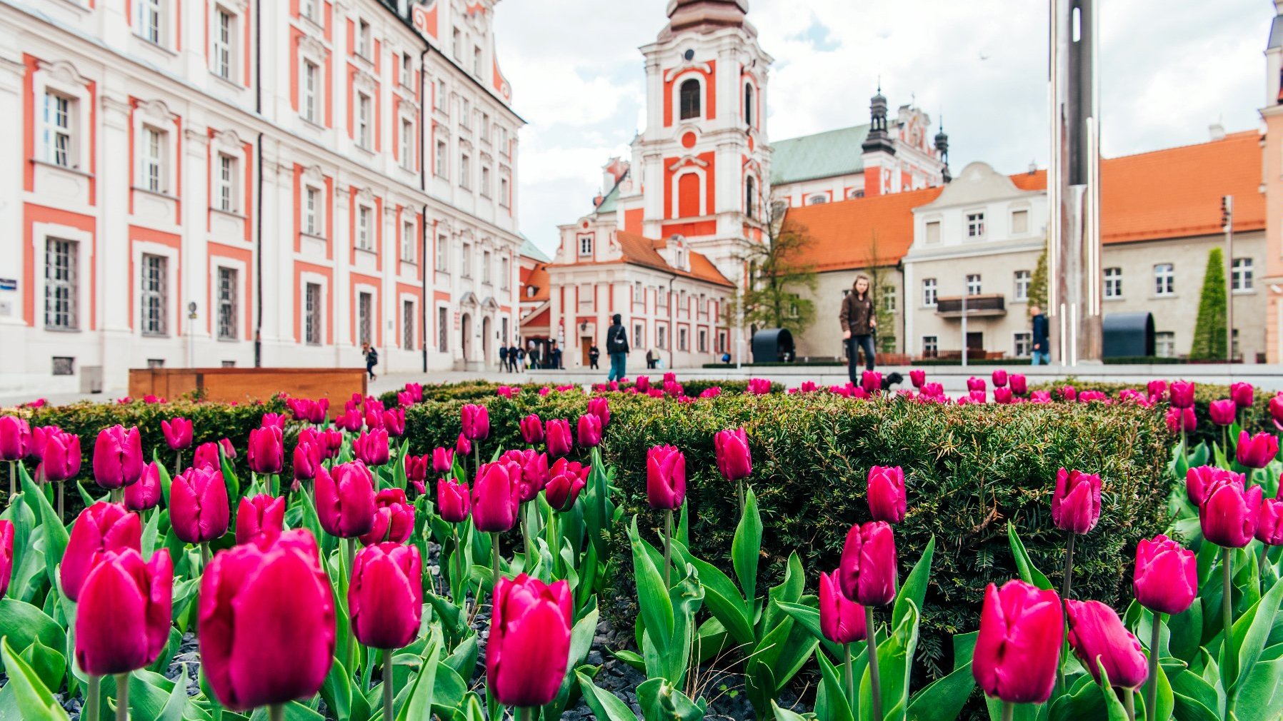 Na zdjęciu plac Kolegiacki, na pierwszym planie kwiaty, w tle budynek urzędu