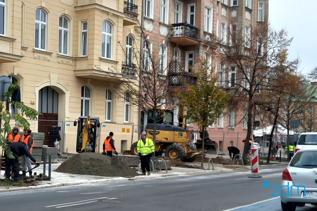 Zdjęcie przedstawia sadzenie roślin n ul. Długiej - grafika artykułu