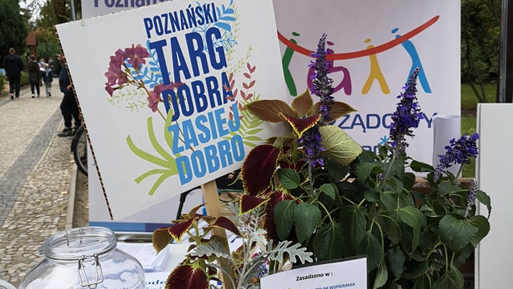 Na zdjęciu rośliny i napis: Poznański Targ Dobra: zasiej dobro - grafika artykułu