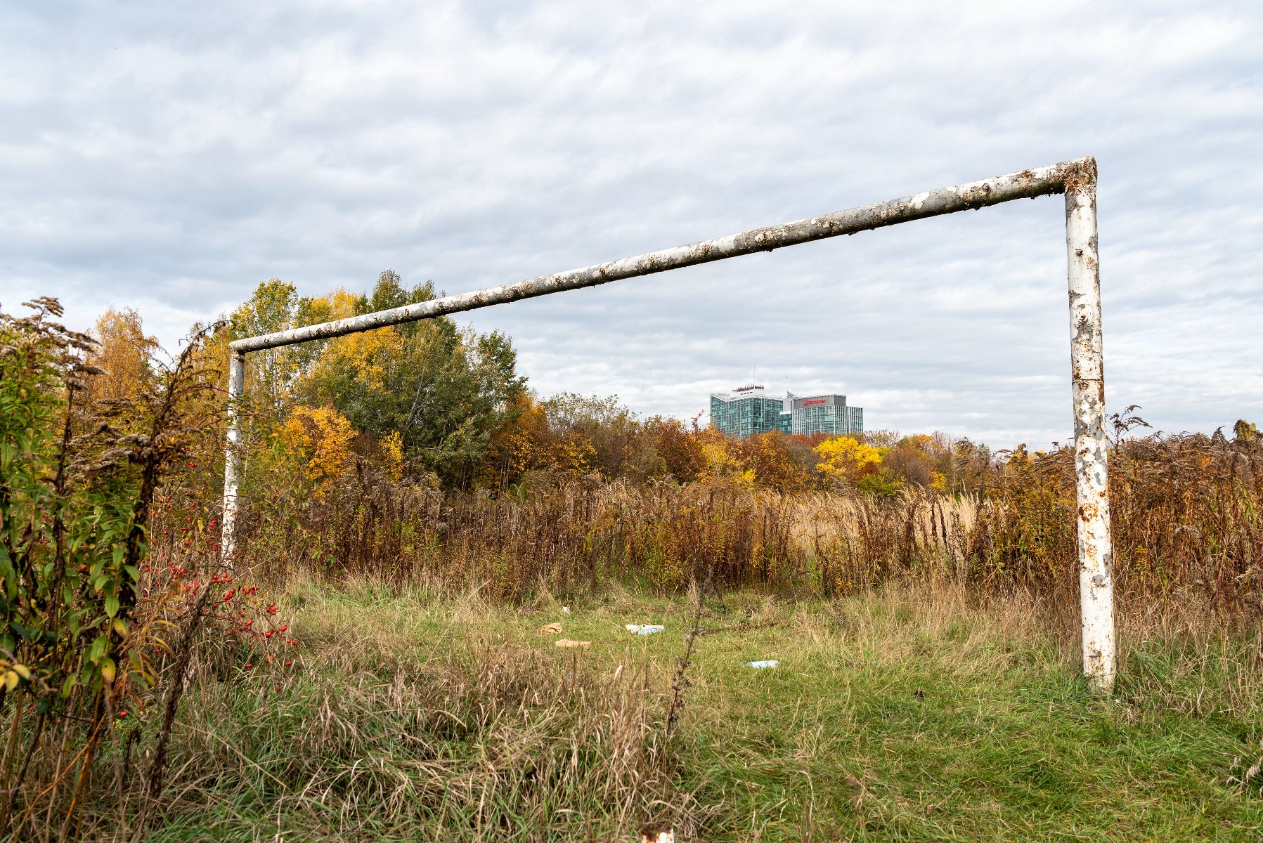 Galeria zdjęć przedstawia dawny stadion im. E. Szyca. Na zdjęciach widać pozostałości infrastruktury sportowej porośnięte roślinnością. - grafika artykułu