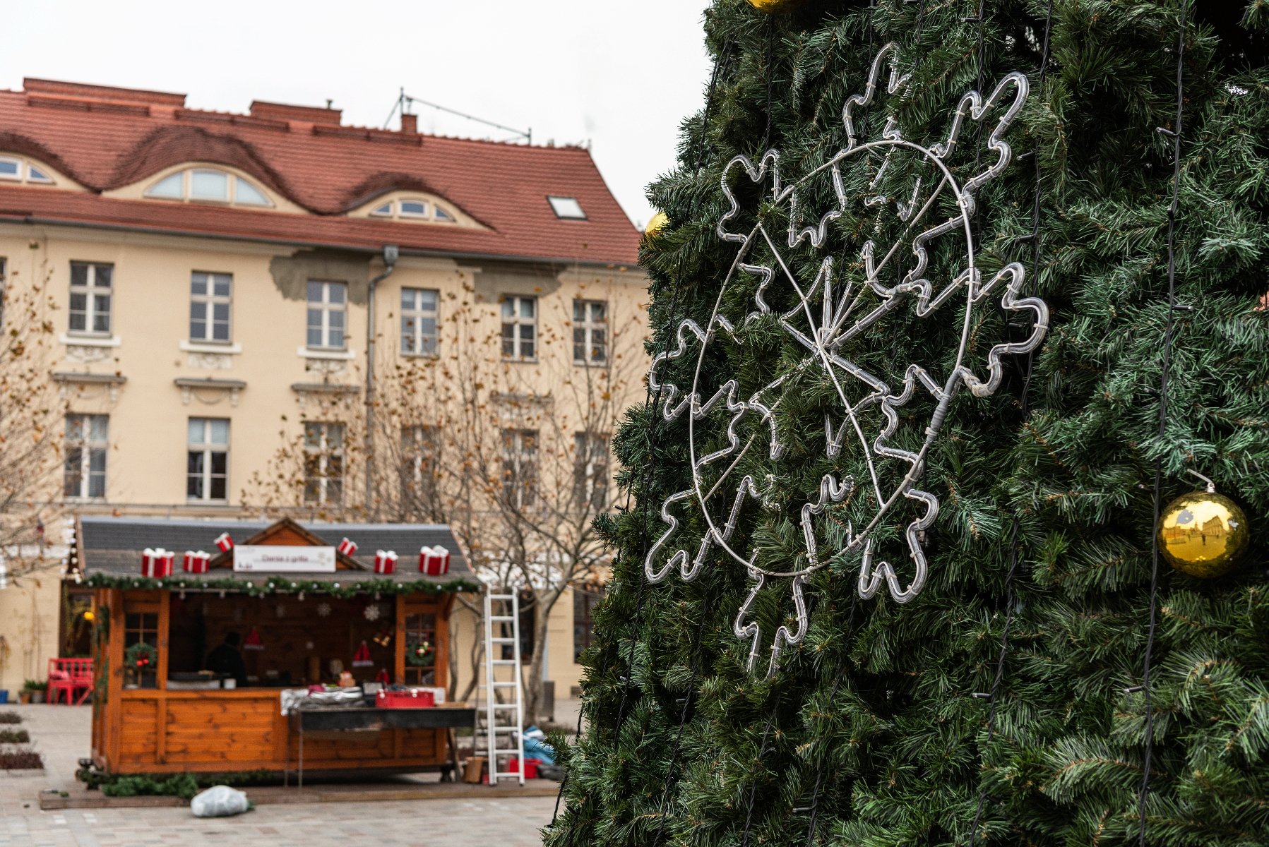 Galeria zdjęć przedstawia choinkę bożonarodzeniową udekorowaną lampkami i bombkami. - grafika artykułu