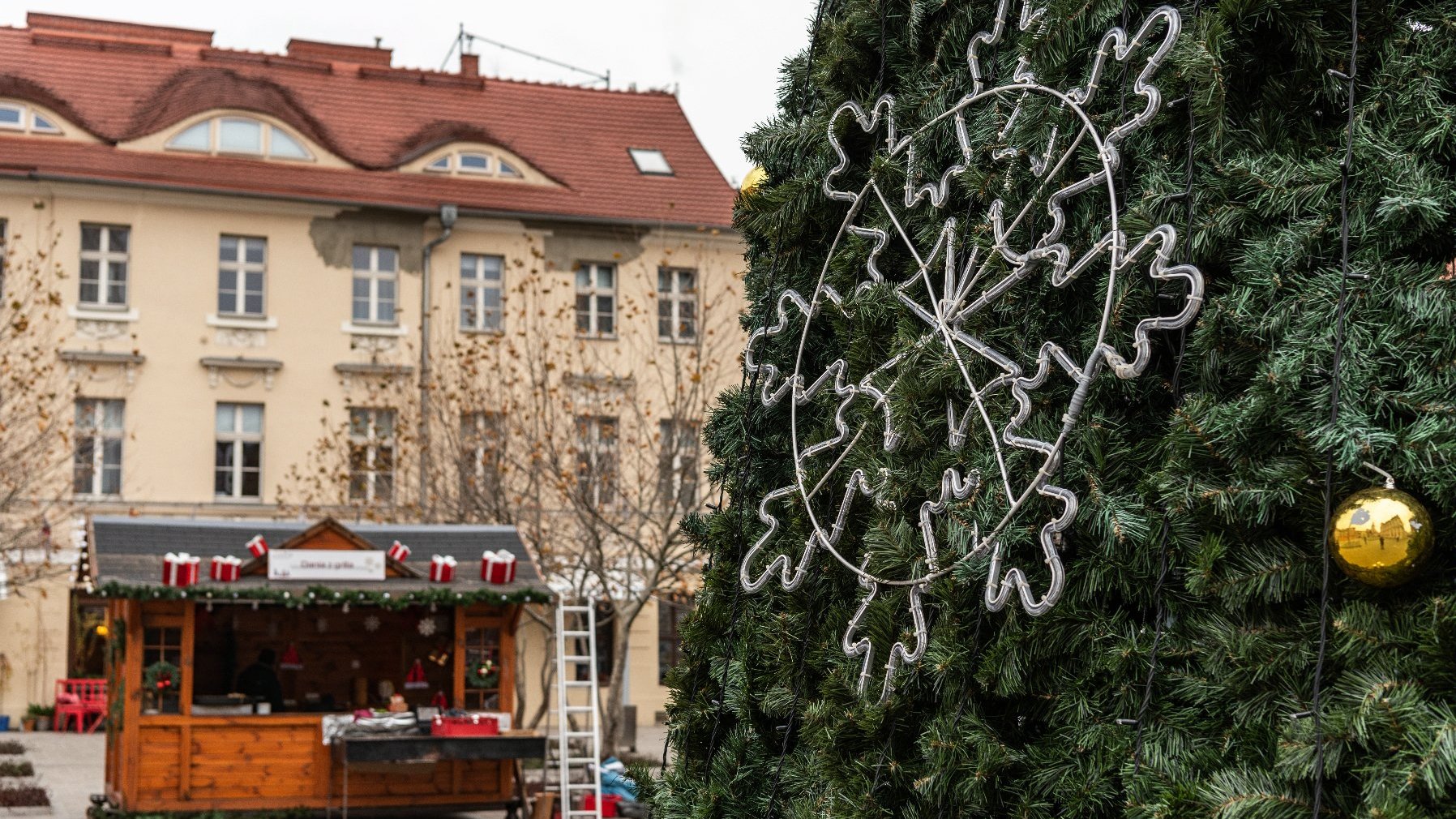 Galeria zdjęć przedstawia choinkę bożonarodzeniową udekorowaną lampkami i bombkami.