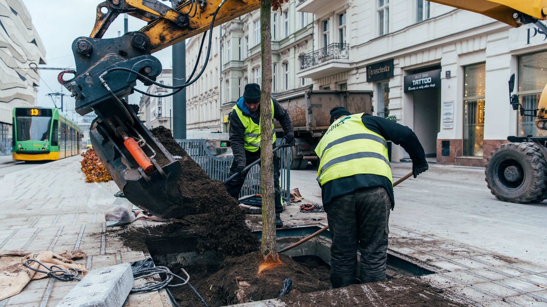 Galeria zdjęć z sadzenia drzew na Al. Marcinkowskiego