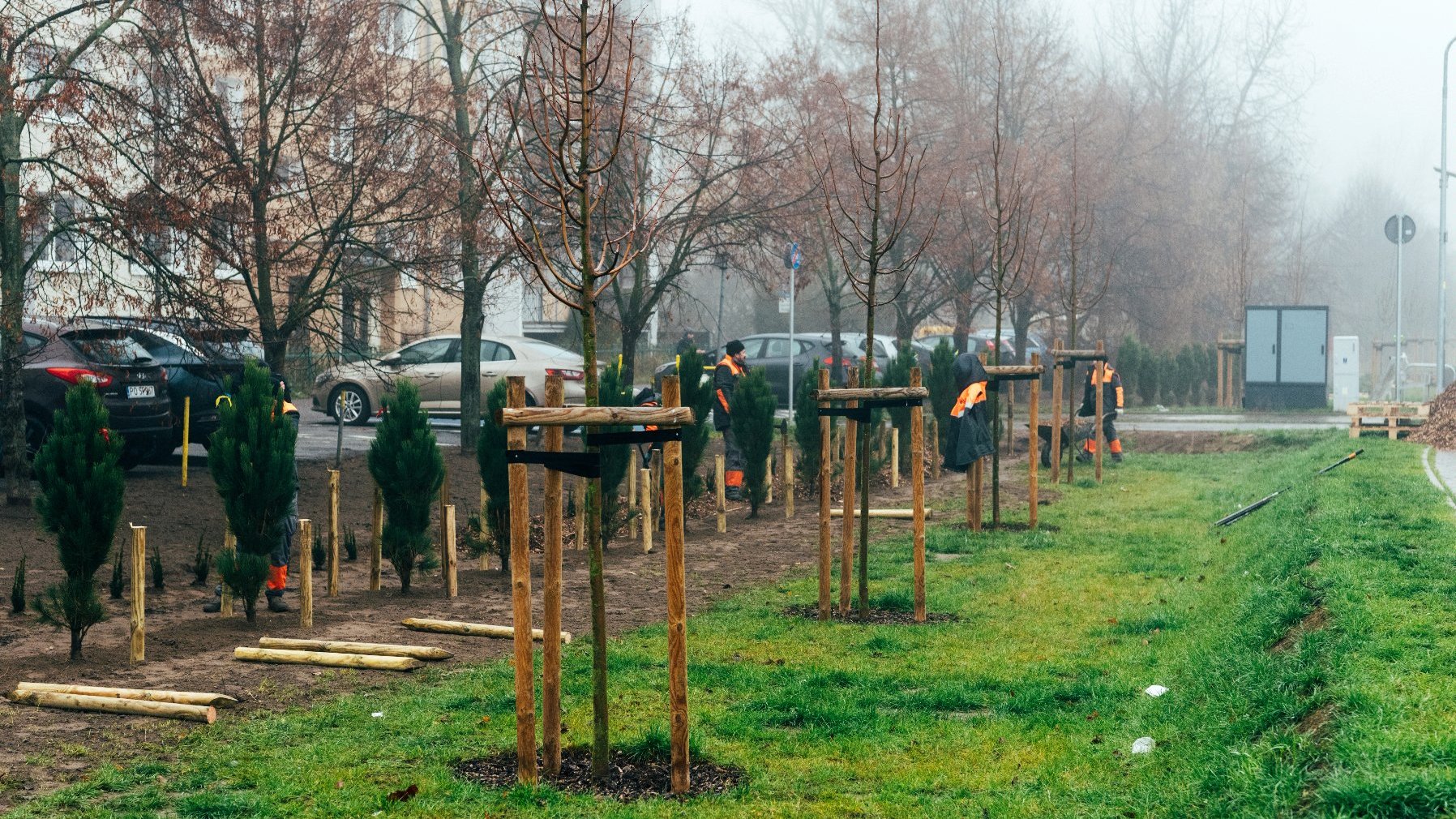 Galeria zdjęć przedstawia sadzenie drzew przy ulicy, na zdjęciach znajdują się sadzonki drzew ora pracownicy wykonujący nasadzenia