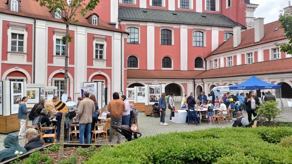 Na zdjęciu dziedziniec urzędu miasta, na nim ławki, stoły i zgromadzeni ludzie