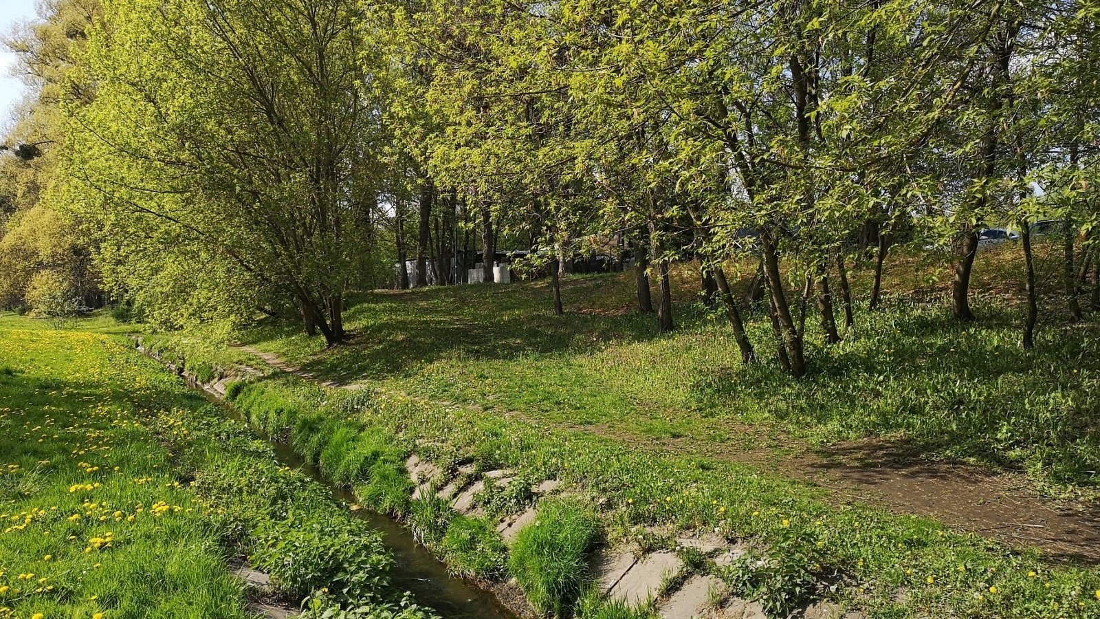 Na zdjęciu widok na rzekę oraz tereny zielone przy niej