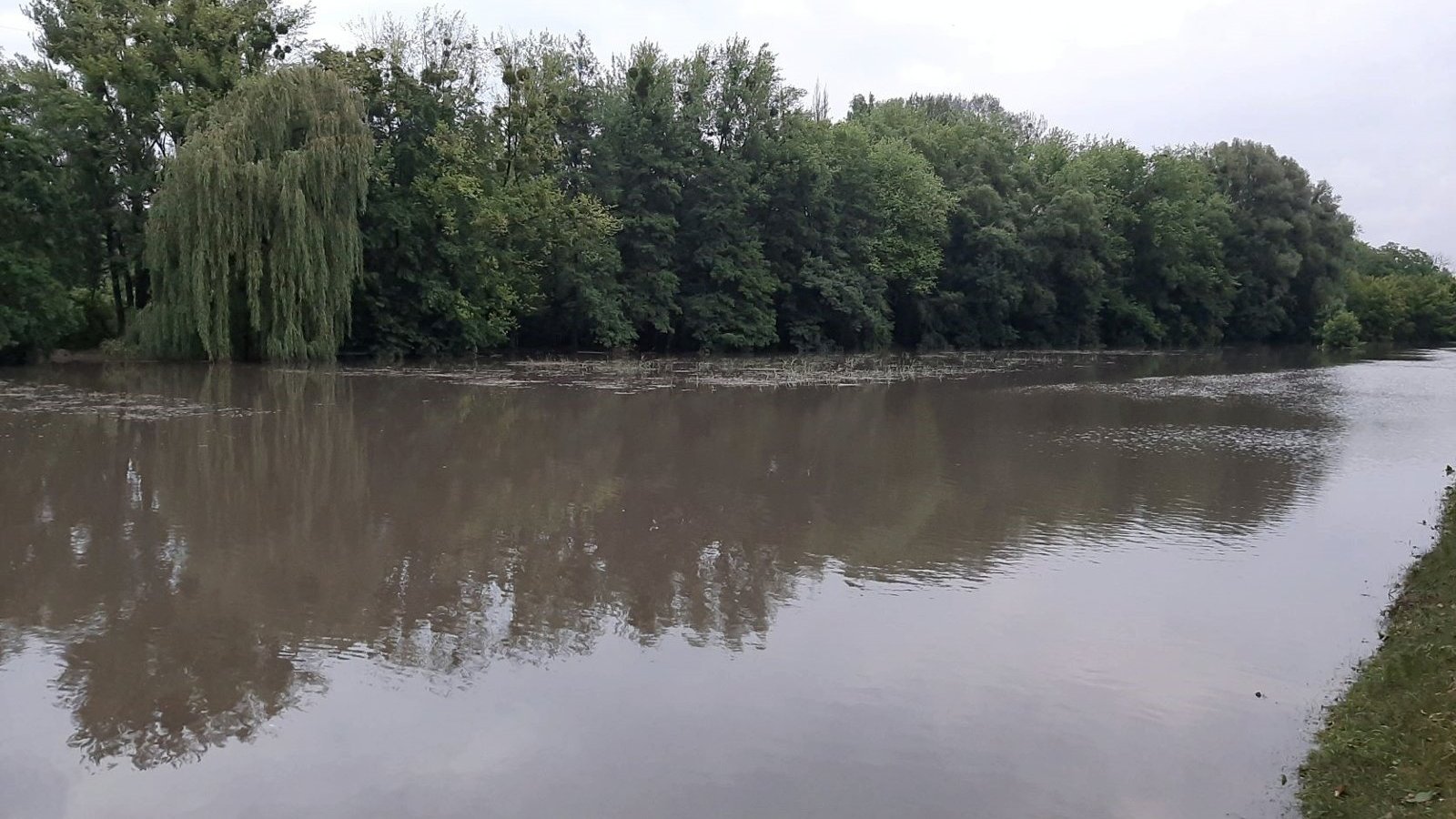 Na zdjęciu rzeka, która rozlała się na tereny wokół niej zalewając m.in. drzewa