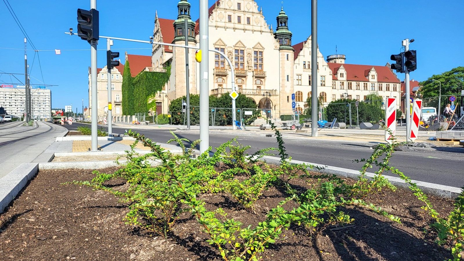 Galeria zdjęć nowo posadzonych roślin przy ul. Św. Marcin