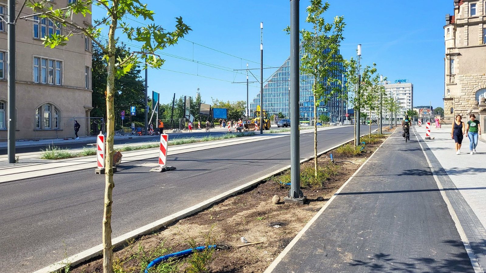 Galeria zdjęć z nowych nasadzeń w rejonie ul. Św. Marcin, Towarowej i al. Niepodległości