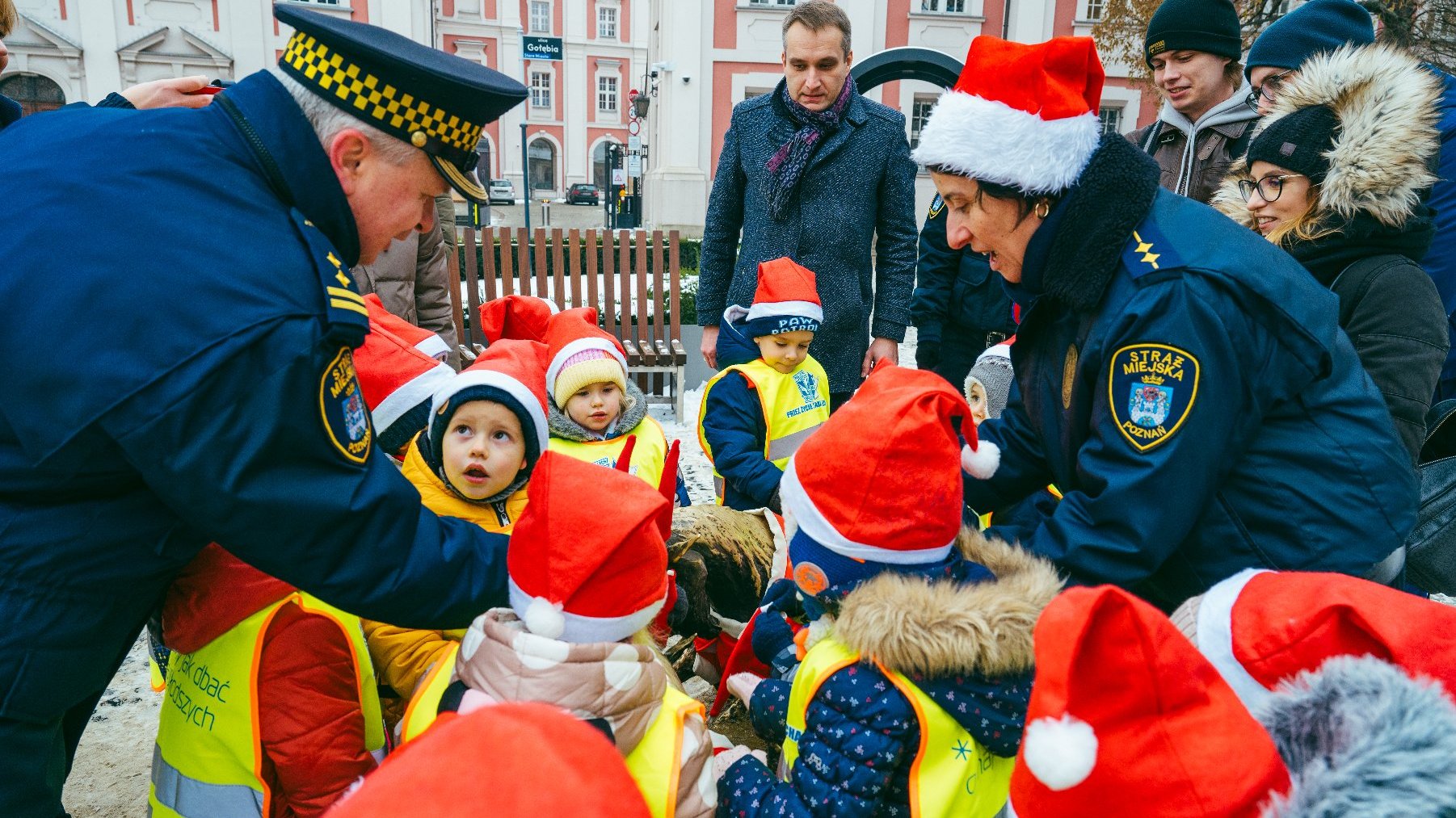 Galeria zdjęć z ubierania koziołków