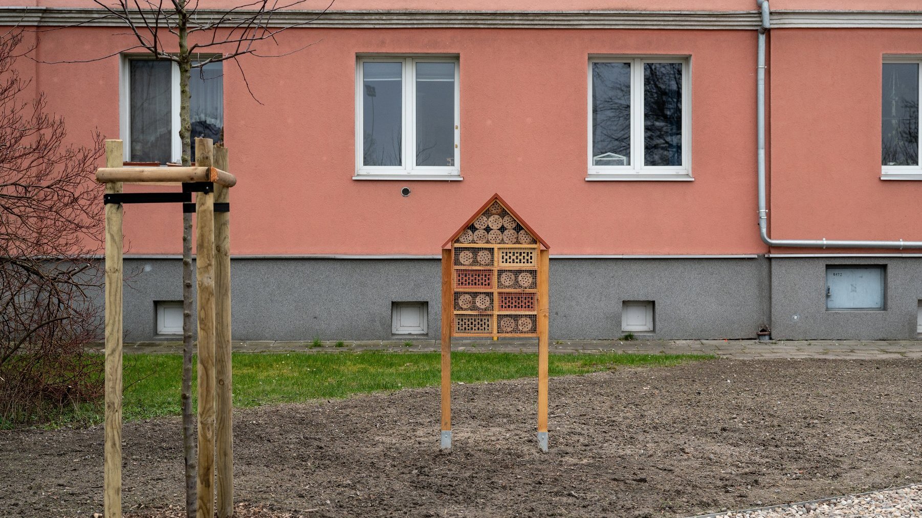 Galeria zdjęć przedstawia skwer na Śródce, na którym rosną drzewa i postawione są domki dla owadów i altana.