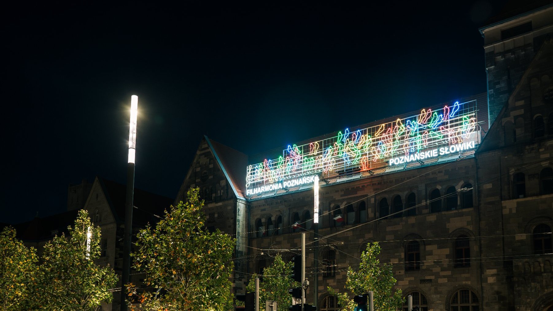 Na zdjęciu neon przedstawiający słowiki, zdjęcie robione nocą