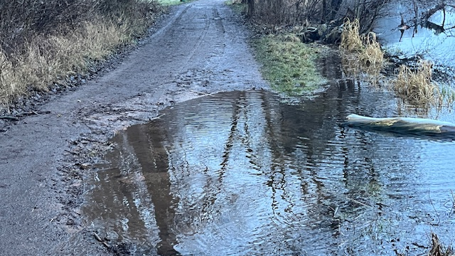 Zdjęcie przedstawia ścieżkę leśną w czści zalaną wodą.