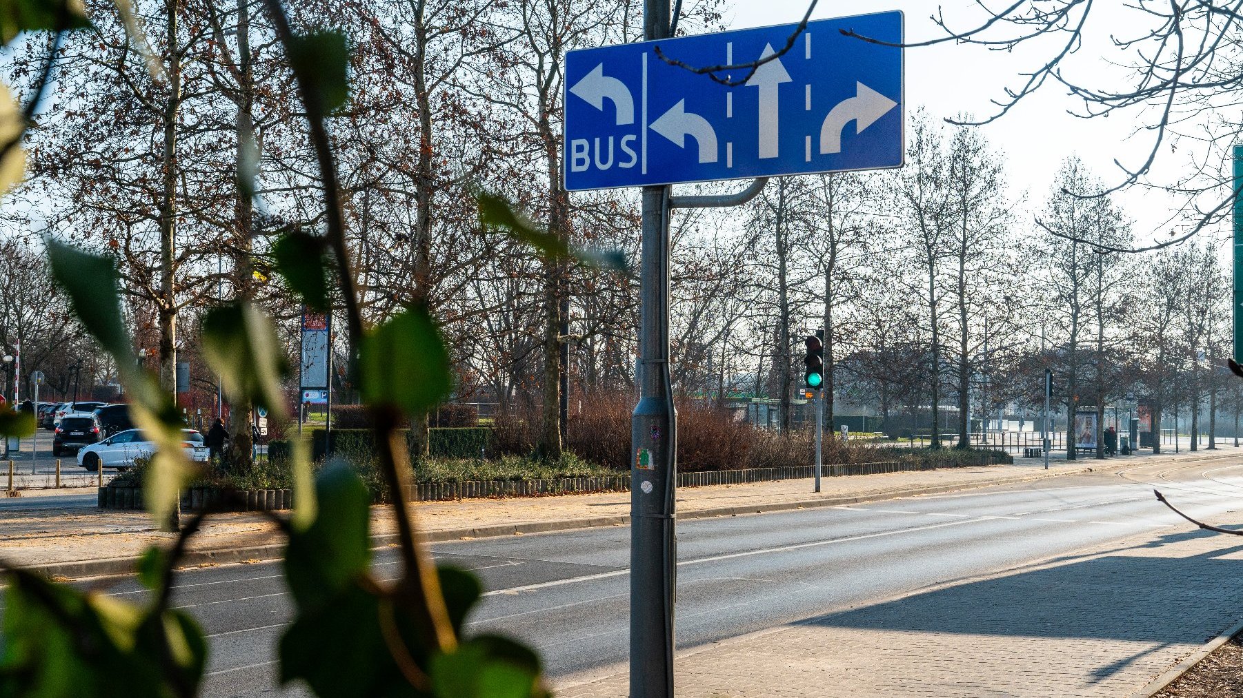 Zdjęcie przedstawia ulicę, znaki drogowe i gałęzie drzew.