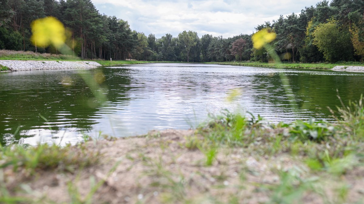 Zdjęcie przedstawia wodę w zbiorniku otoczoną drzewami.