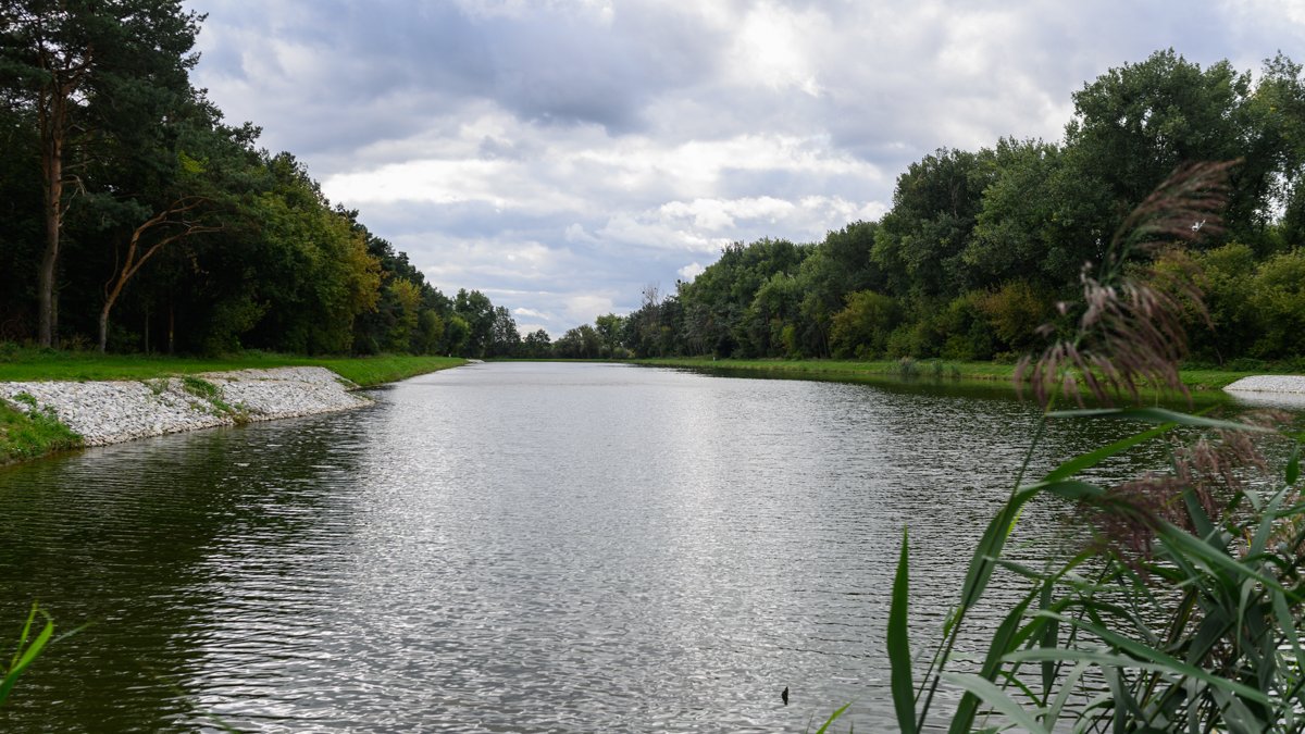 Zdjęcie przedstawia wodę w zbiorniku otoczoną drzewami.