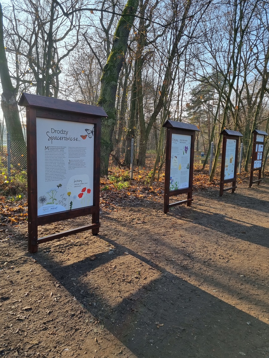 Na zdjęciu widoczne są tablice edukacyjno-przyrodnicze. - grafika artykułu