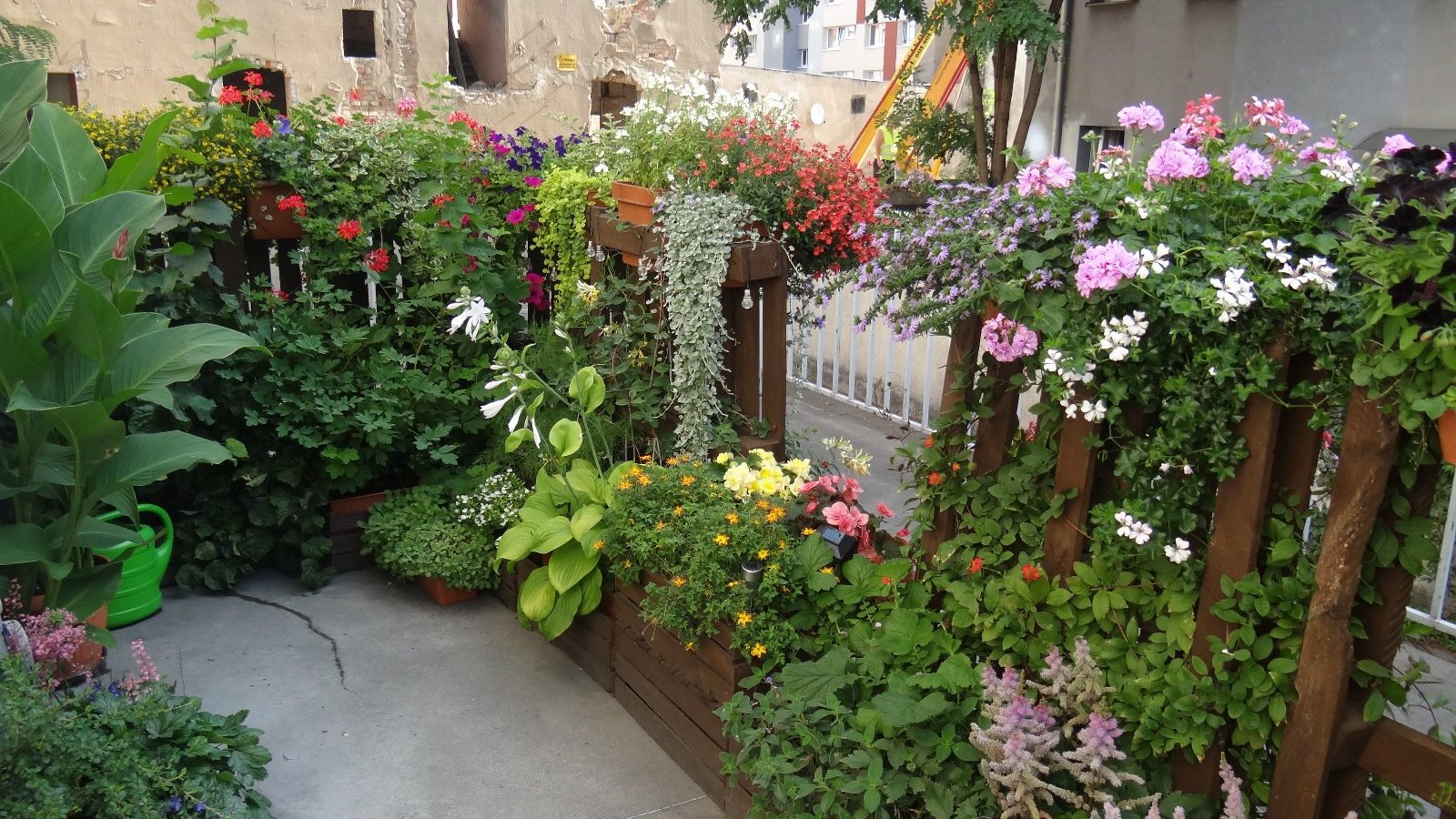 Na zdjęciu nagrodzony balkon z kwiatami oraz roślinami zielonymi