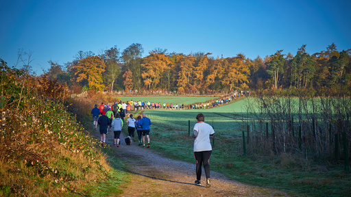 Na zdjęciu widać ludzi biegnących polaną w stronę lasu