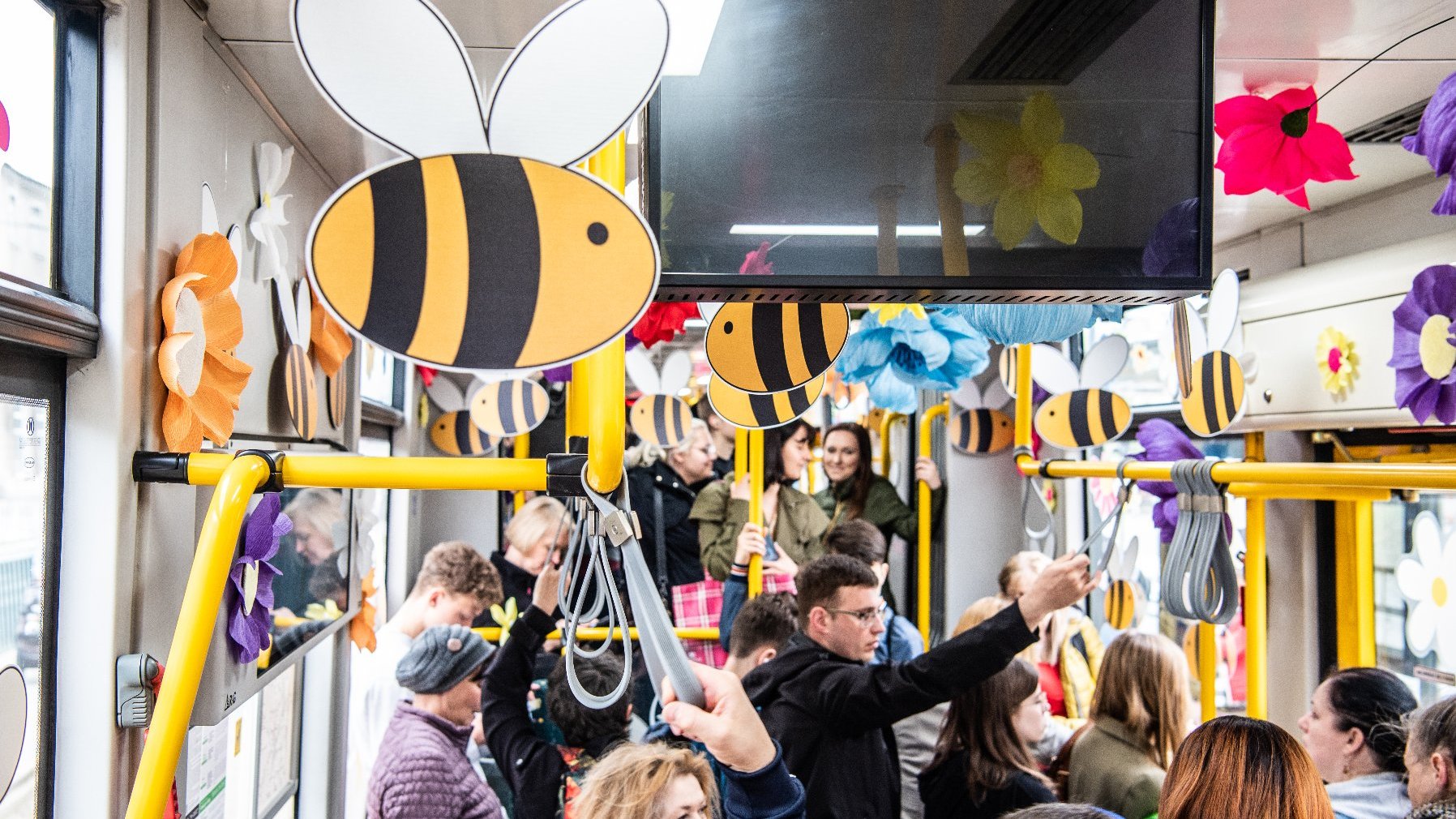 Na zdjęciu wnętrze tramwaju, na pierwszym planie pszczoły i kwiaty