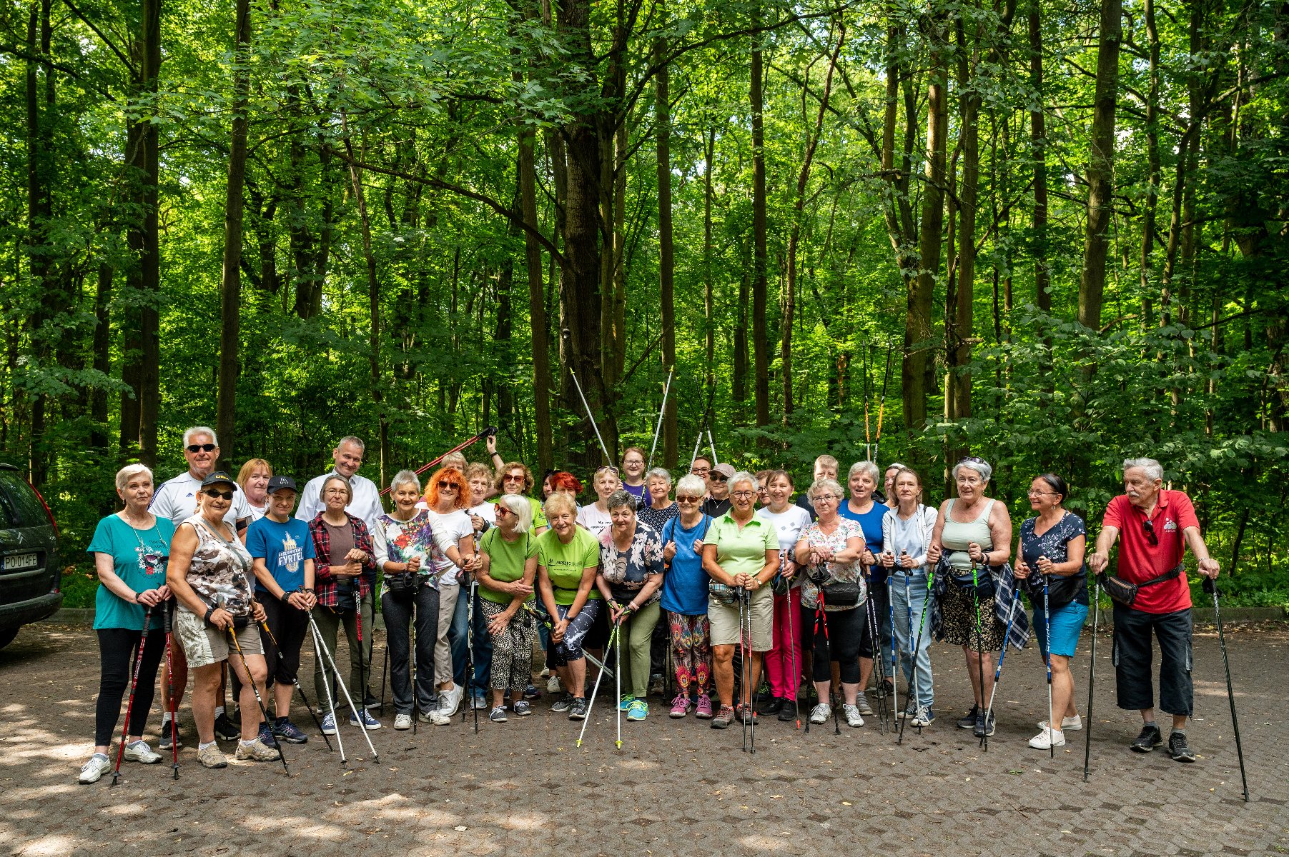 Galeria zdjęć przedstawia grupę seniorów w strojach sportowych z kijkami do nordic walking. - grafika artykułu