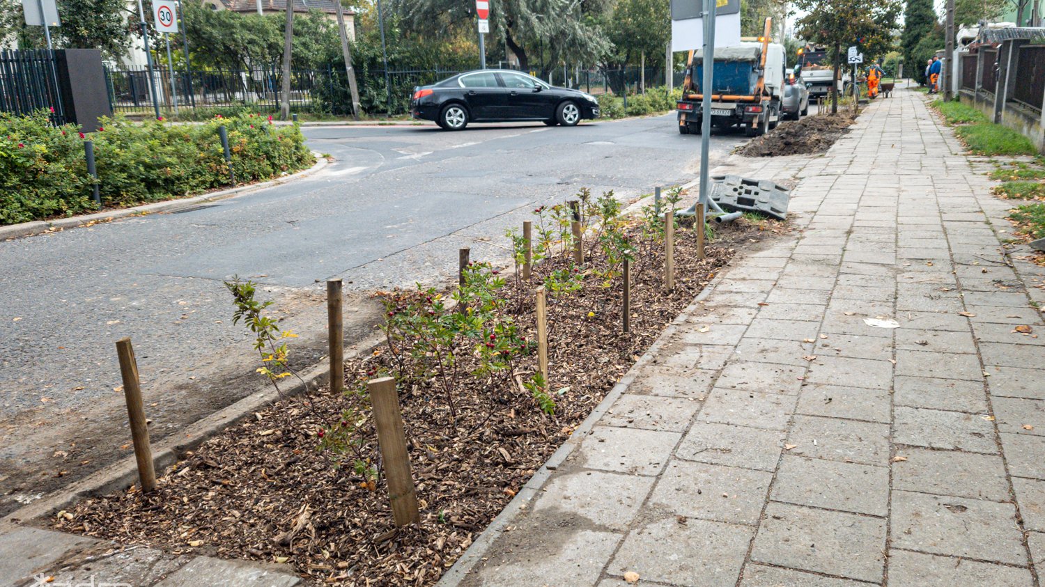 Galeria zdjęć nowych nasadzeń przy ul. Czwartaków