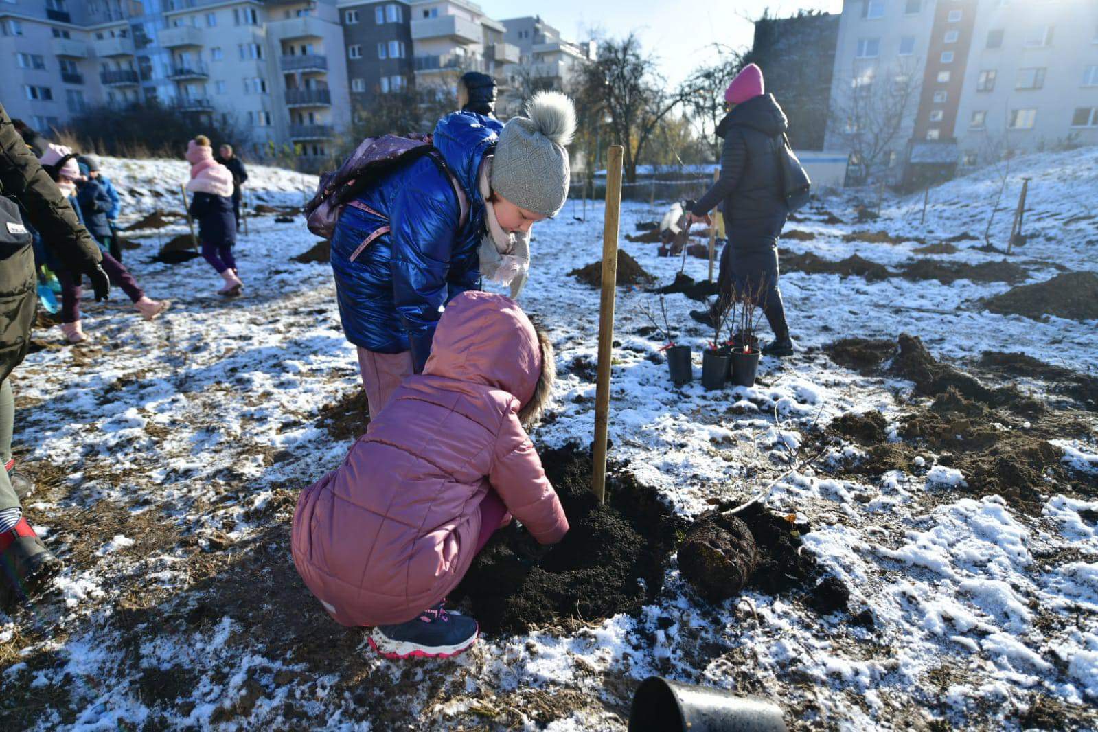 Galeria zdjęć z sadzenia sadu miejskiego - grafika artykułu