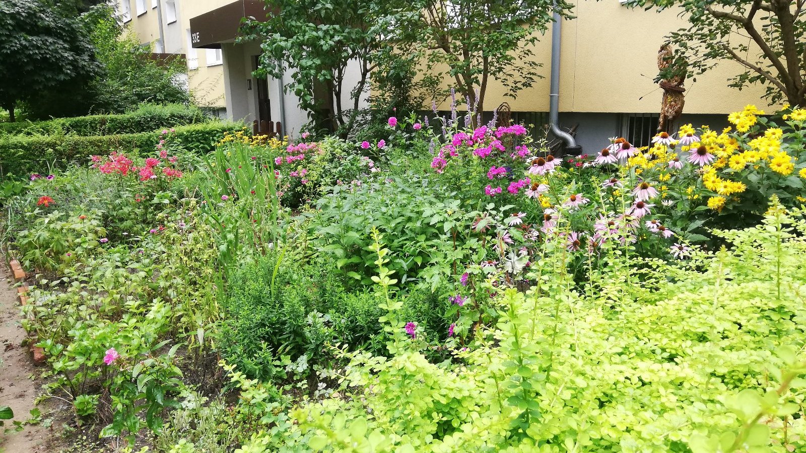 Na zdjęciu ogródek przydomowy, na pierwszym planie dużo roślin i kwiatów