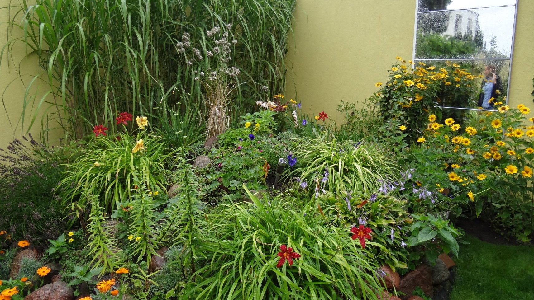 Na zdjęciu ogródek przydomowy, na pierwszym planie dużo kwitnących kwiatów