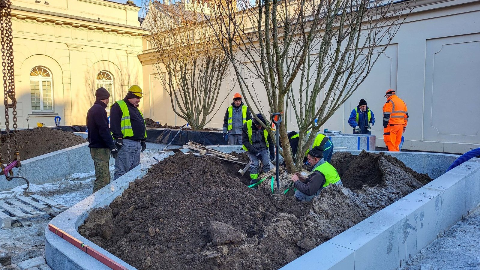 Na zdjęciu robotnicy sadzący nowe drzewa przy budynku