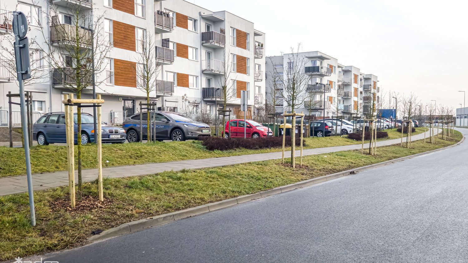 Galeria zdjęć z nasadzeń nowych drzew i zieleni niskiej