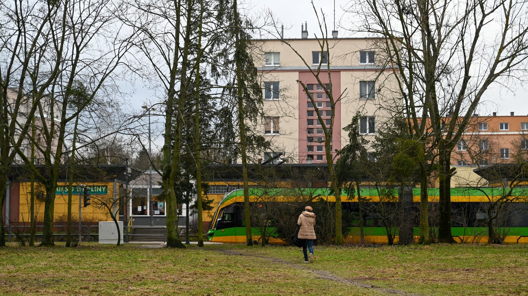 Na zdjęciu pętla Ogrody, na pierwszym planie trawnik, w tle tramwaj