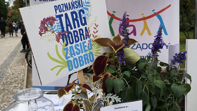 Na zdjęciu rośliny, obok tabliczka z napisem: Poznański Targ Dobra