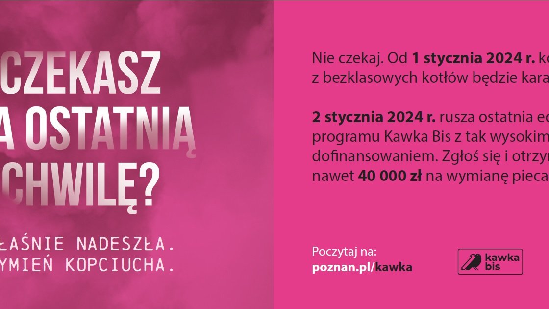 Plakat akcji - informacje o programie na różowym tle.