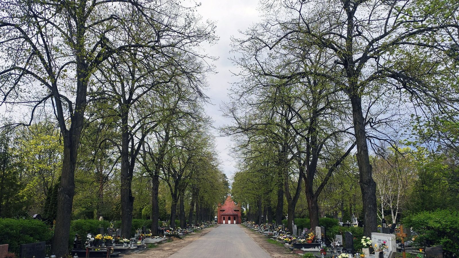 Galeria zdjęć przedstawia Cmentarz Górczyński. Na fotografiach widać aleję, wzdłuż niej drzewa i nagrobki.