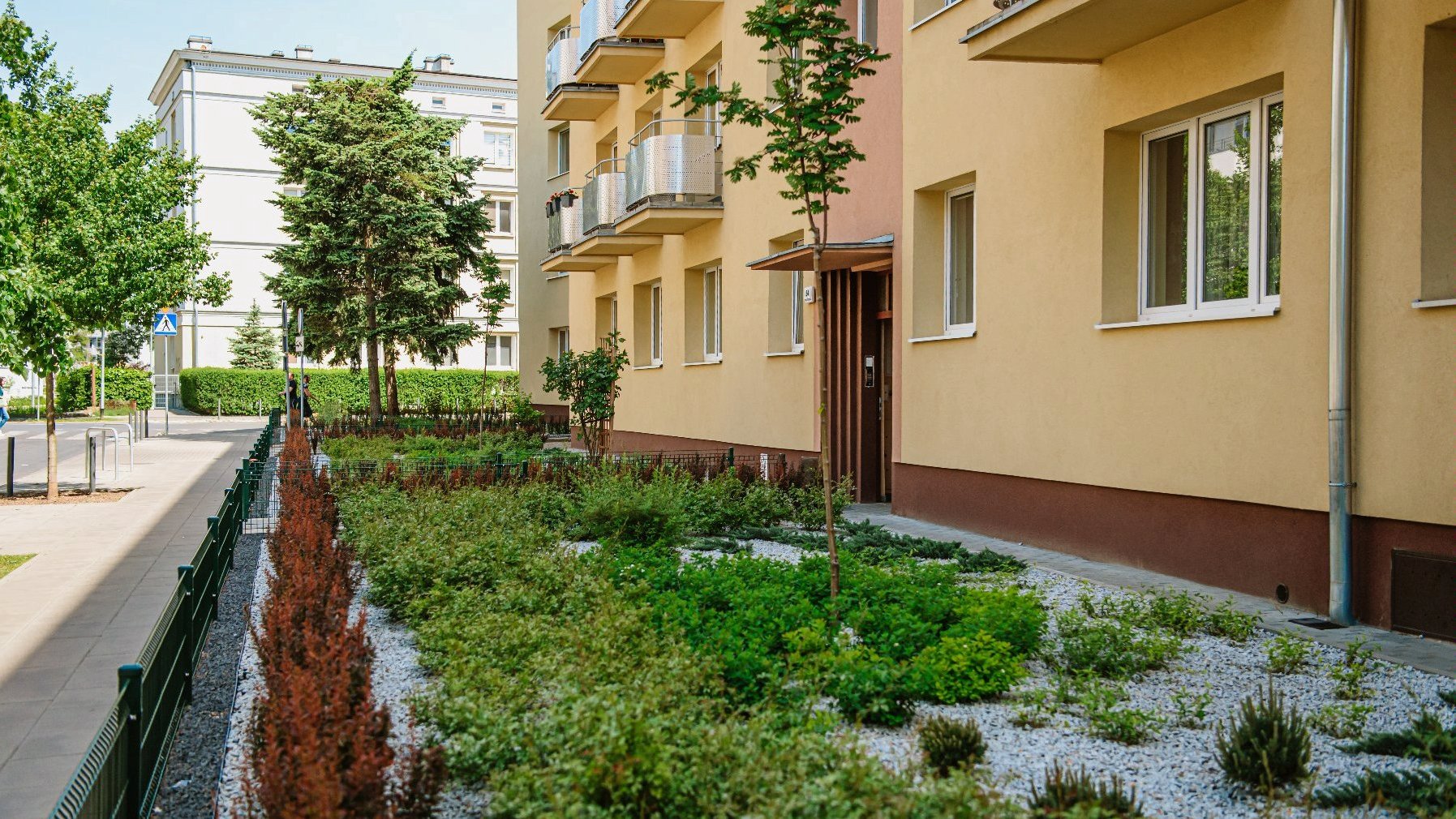 Zdjęcie przedstawia zazieleniony ogródek przed blokiem.