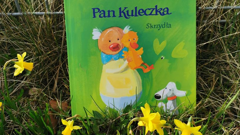 Zdjęcie książeczki Pan Kuleczka Skrzydła stojącej w trawie przy płocie
