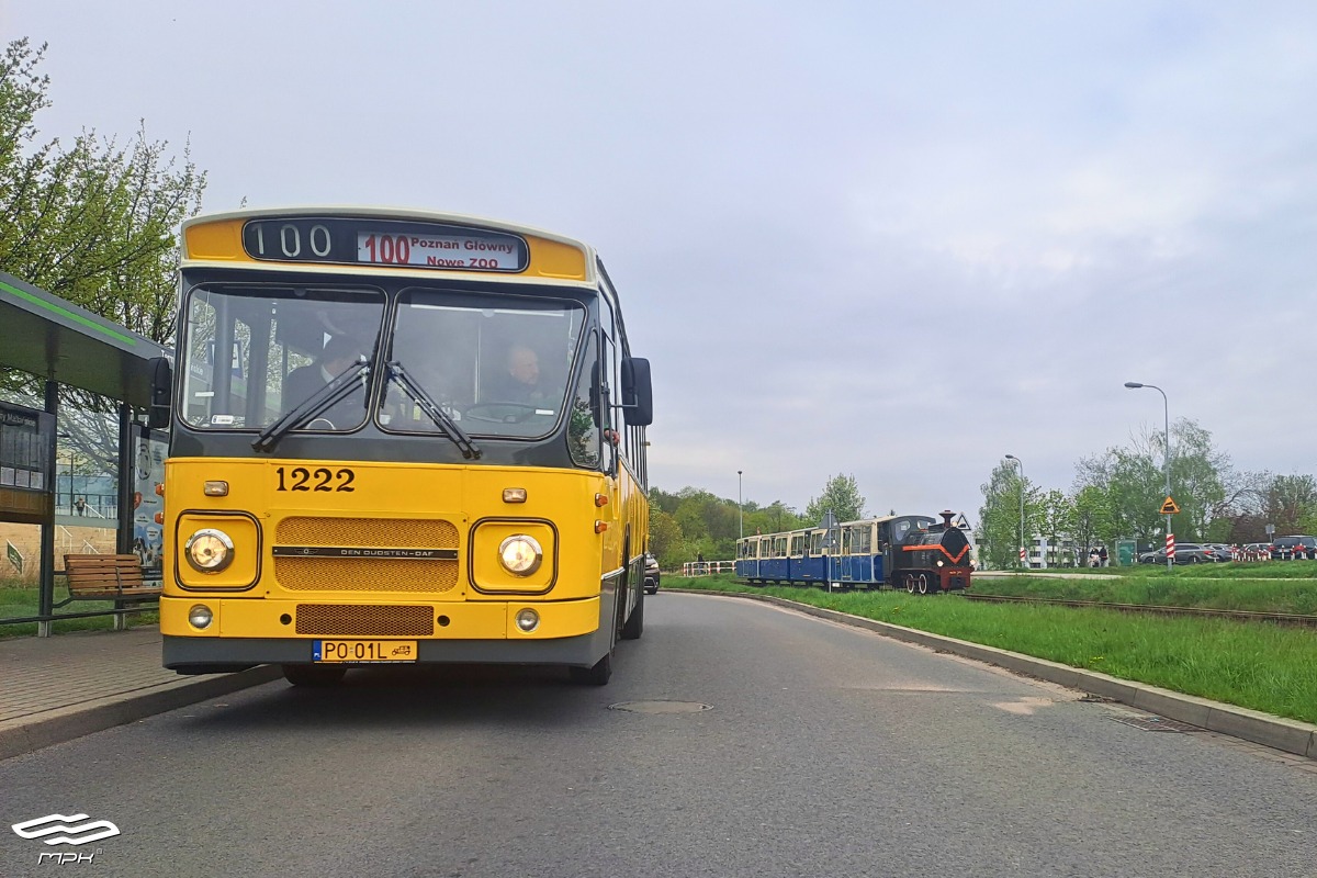 Żółty autobus DAF wożący ludzi na trasie linii turystycznej nr 100 oraz kolejka Maltanka - grafika artykułu