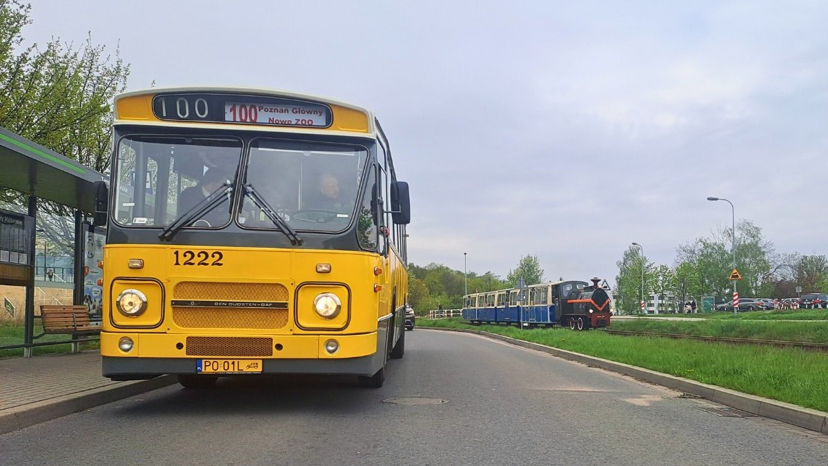 Żółty autobus DAF wożący ludzi na trasie linii turystycznej nr 100 oraz kolejka Maltanka