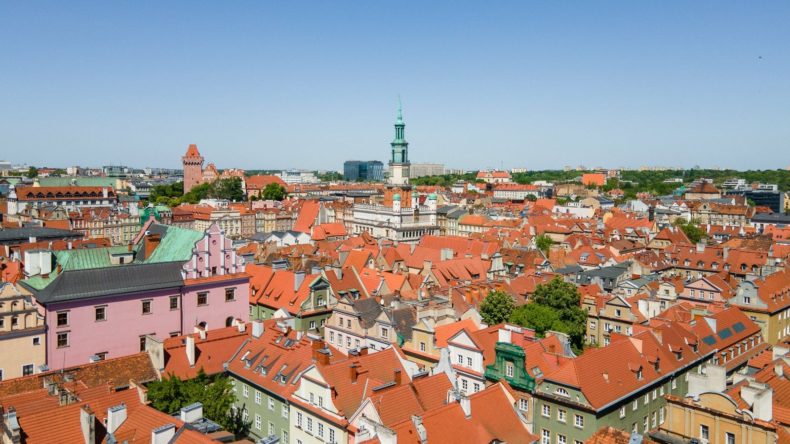 Na zdjęciu panorama Poznania, widać dachy kamienic