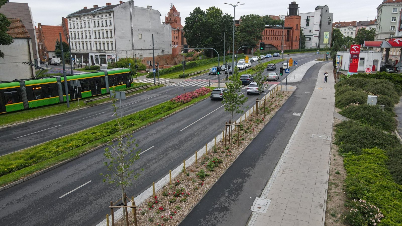 Galeria zdjęć przedstawia zieleń przy nowej drodze rowerowej na Starym Mieście.