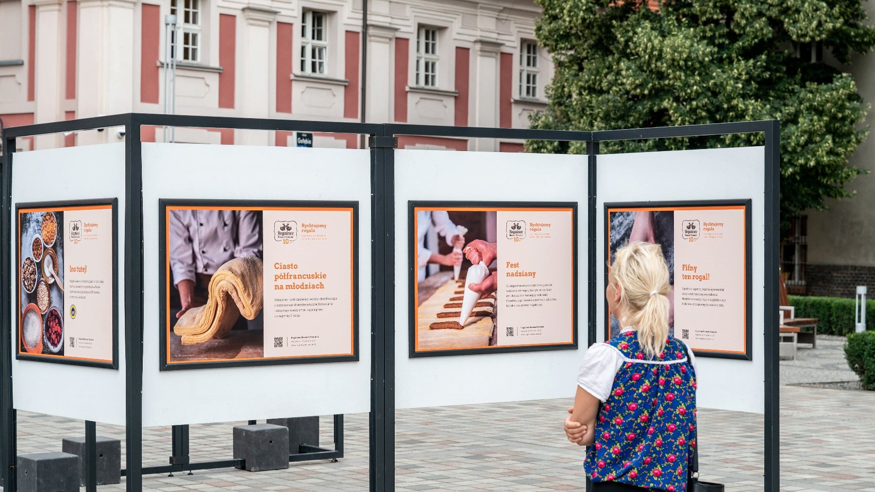Zdjęcie przedstawia wystawę plenerową poświęconą Rogalowemu Muzeum Poznania i oglądającą ją osobę.