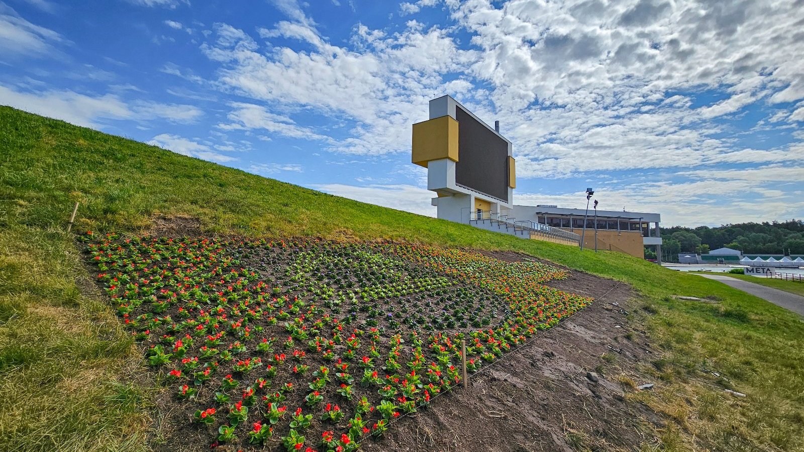 zdjęcie przedstawia trawiastą skarpę z nasadzonymi kwiatami