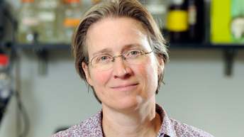 Prof. Rachel Green (USA)