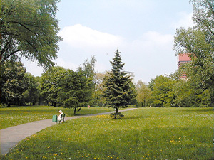 Karol - Marcinkowski - Park
